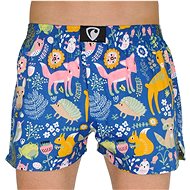 Represent R1M-BOX-0673 - animals, sizing. S - Boxer Shorts
