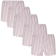 Foltine 5Pack K48 - 5PACK, size 5. XL - Boxer Shorts