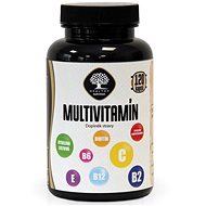 Sellot Multivitamín 120 kapslí - Dietary Supplement