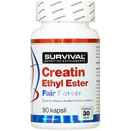 Survival Creatine Ethyl Ester Fair Power 90 cps - Creatine