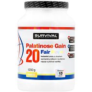 Survival Palatinose Gain 20 Fair Power 1200 g vanilla - Gainer