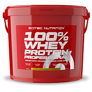 Scitec Nutrition 100% WP Professional 5000 g lemon cheesecake - Protein