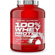 Scitec Nutrition 100% WP Professional 2350 g ice coffee with real coffee - Proteín