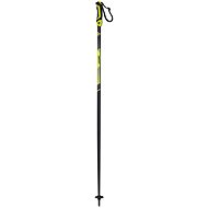 Fischer Pro Turn - Ski Poles