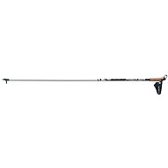 Fischer RC3 - Running Poles