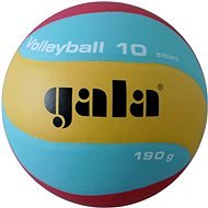 Gala Volleyball 10 BV 5541 S – 190 g - Volejbalová lopta