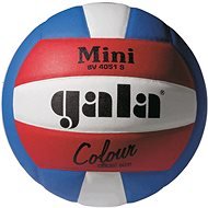 Gala Mini Pro-line BV 4051 - Volleyball