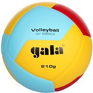Gala Training BV 5555 - 210 g - Volleyball