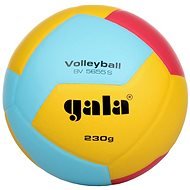 Gala Training BV 5655  - 230 g - Volleyball