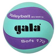 Gala Soft 170g BV5681SCF green/purple - Volleyball