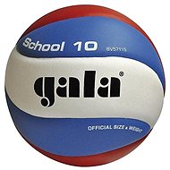 Gala School 10 5711S - Volleyball