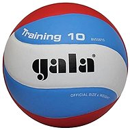 Gala Training BV5561S - Volleyball