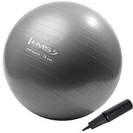 HMS YB02N 75 cm grey-silver - Gym Ball