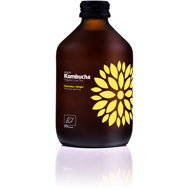 VIGO Kombucha Turmeric + ginger BIO 330 ml - Drink