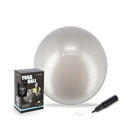 HMS Gymnastics ball YB01N 65 cm grey - Gym Ball