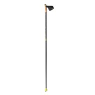 Fischer RCS 175 cm - Running Poles