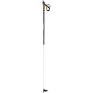 Rossignol FT-600 Cork 155 cm - Running Poles