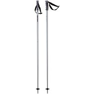 HEAD Multi brushed aluminium/black - Ski Poles