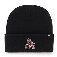 47 Brand NHL cap Haymaker SR Arizona Coyotes, HS24 - Winter Hat