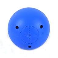 Smart Ball, white - Ball Hockey Ball