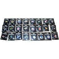 InGlasCo NHL Logo Blister 1 piece Winnipeg Jets - Puck