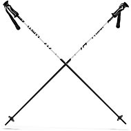 Lusti Sport - bílá/černá - Ski Poles