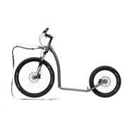 Dice Mushing Max (G6) Limited Edition Antic Silver - Scooter