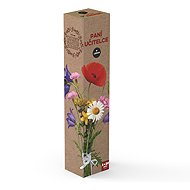 Leros Teacher's gift sleeve 3 × 20 bags - Gift Set