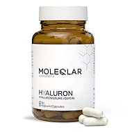 MOLEQLAR® Hyaluron, 60 capsules - Dietary Supplement