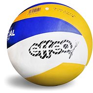 EFFEA 6830/5 - 8-Panel tricolour - Volleyball