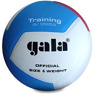 GALA Training BV5565S - Volleyball