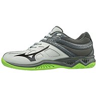 Mizuno Ligthning Star Z5 size 36EU/225mm - Indoor Shoes