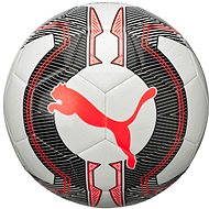 Puma EvoPower 6.3 Trainer MS Puma W 3 - Football 