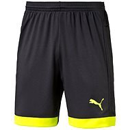 Puma IT EvoTRG Shorts Asphalt Safet-M - Shorts