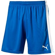 Puma Indoor Court Shorts Puma Königs XL - Shorts