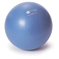 Sissel Securemax Pro 55cm ball - Gym Ball