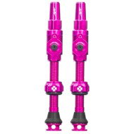 Big Bore Lite Tubeless Valves Pink Large - Bike Valve