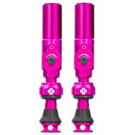 Big Bore Hybrid Tubeless Valves Pink Small - Bike Valve