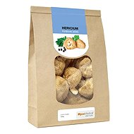 MycoMedica Hericium dried 100 g - Hericium