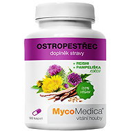 Mycomedica Milk Thistle 90 capsules - Dietary Supplement