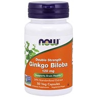 NOW Ginkgo Biloba Double Strenght, 120 mg - Herbal Product