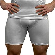 Sport shorts - men's L grey - Boxer Briefs