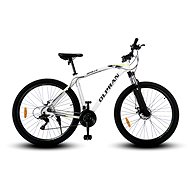 OLPRAN Apollo 29" white/green - 2023 - Mountain Bike