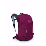 Osprey Hikelite 26 l Chameleon/Black - Tourist Backpack