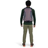 Osprey Hikelite 28 Graphite Purple - Backpack