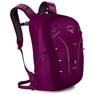 Osprey Axis 18 II Eggplant Purple - City Backpack