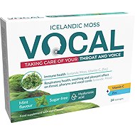Vocal HA Sugar-free Mint Lozenges 24 pcs - Herbal Lozenges