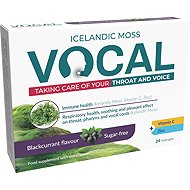 Vocal Blackcurrant sugar-free lozenges 24 pcs - Herbal Lozenges