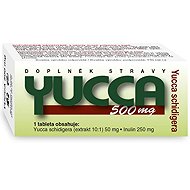 NATURVITA Yucca 500mg 60 tablets - Dietary Supplement