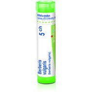 Berberis Vulgaris 5CH granules 4 g - Homeopathic Remedies